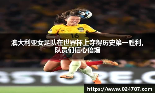 完美体育在线入口官网