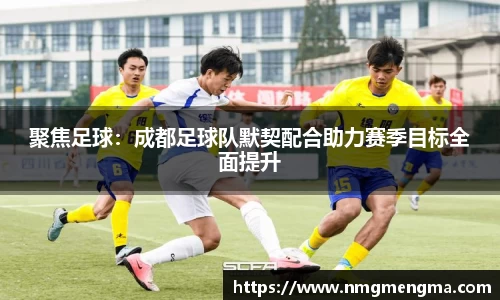 完美体育在线入口官网