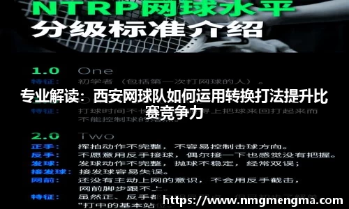 完美体育在线入口官网