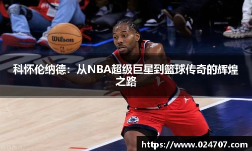 完美体育在线入口官网